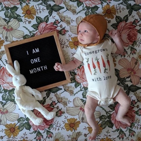 Bunnies by the bay soft and cuddly baby plush toy & pacifier holder - BUN BUN - Picture 2 of 2